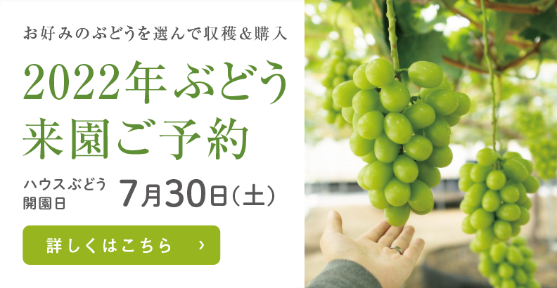愛媛県西条市の輝らり果樹園2020年のハウスぶどう来園ご予約